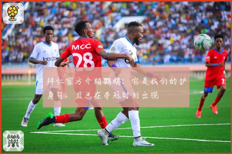 拜仁官方介绍鹦鹉：它是我们的护身符，且总在夺冠时刻出现