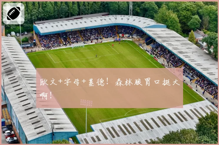 欧文+字母+基德！森林狼胃口挺大啊！