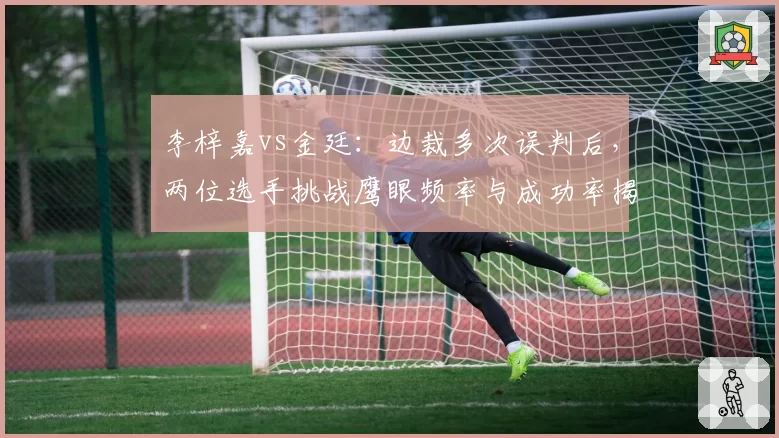 李梓嘉vs金廷:边裁多次误判后,两位选手挑战鹰眼频率与成功率揭秘