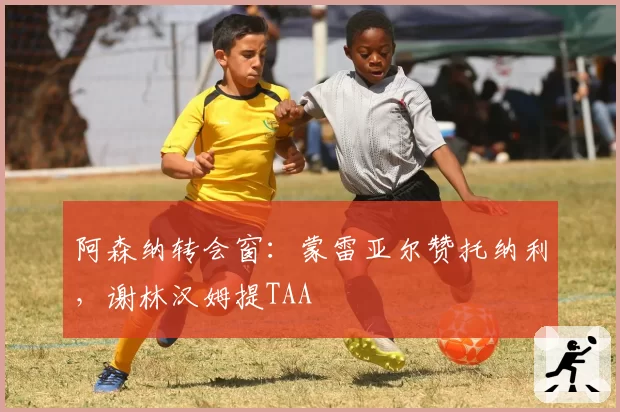 阿森纳转会窗：蒙雷亚尔赞托纳利，谢林汉姆提TAA