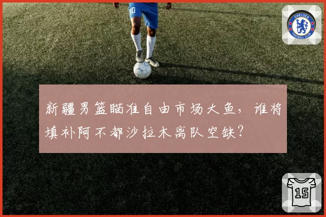 新疆男篮瞄准自由市场大鱼，谁将填补阿不都沙拉木离队空缺？