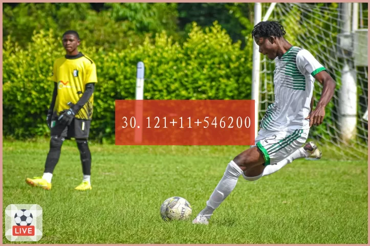 30.121+11+546200
